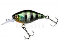 Wobbler Illex Chubby 38 MR | 38mm 4.0g - HL Sunfish BESTEN KUNSTKODER Angelshop