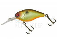 Wobbler Illex Diving Chubby 38 mm 4.3g - Muddy Roach BESTEN KUNSTKODER Angelshop