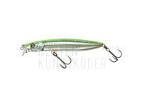 Wobbler Illex Hagre Minnow 96 F 96mm 12.2g - RT Visible Roach