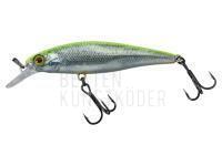 Wobbler Illex Squad Minnow 65 SP - RT Visible Roach BESTEN KUNSTKODER Angelshop