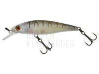 Wobbler Illex Squad Minnow 65 SP - Tiger Bone BESTEN KUNSTKODER Angelshop