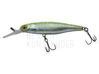 Wobbler Illex Squirrel 61 SP - RT Visible Roach BESTEN KUNSTKODER Angelshop