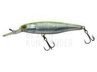 Illex SQUIRREL 76 SP RT Visible Roach BESTEN KUNSTKODER Angelshop