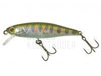 Wobbler Illex Tiny Fry 50 SP RT - Yamame BESTEN KUNSTKODER Angelshop