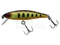 Wobbler Illex Tiny Fry 50 SP - Muddy Yamame BESTEN KUNSTKODER Angelshop