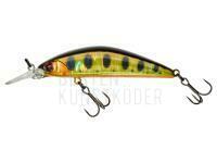 Wobbler Illex Tricoroll GT 56 MD F 4.3g - HL Gold Trout