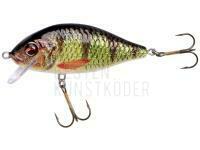 Wobbler Jaxon Holo Select Karaś Nature 3D 8cm 14g - OH BESTEN KUNSTKODER Angelshop