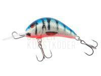 Wobbler Kenart Diver 4cm PB BESTEN KUNSTKODER Angelshop