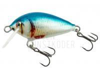 Kenart Pill 3cm - NRB BESTEN KUNSTKODER Angelshop