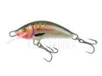 Wobbler Kenart Winner 2,5cm G BESTEN KUNSTKODER Angelshop