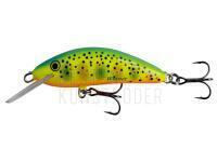 Wobbler Kenart Winner 2,5cm RX BESTEN KUNSTKODER Angelshop