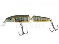 Wobbler Salmo Fanatic IF7F 7cm - Lake Charr (LC) BESTEN KUNSTKODER Angelshop