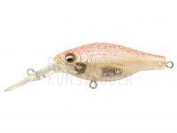 Wobbler Megabass Deep-X 100 | 58mm 10.5g - SB Boild Craw BESTEN KUNSTKODER Angelshop