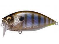 Wobbler Megabass Over Rev Crank 70mm 17.5g 5/8oz. - GILLKKO BESTEN KUNSTKODER Angelshop