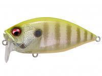 Wobbler Megabass Over Rev Crank 70mm 17.5g 5/8oz. - PM CHART BACK GILL BESTEN KUNSTKODER Angelshop