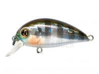 Wobbler Pontoon21 Hypnose 38F SR | 38mm 3.7g - 007 Crash HG Gill BESTEN KUNSTKODER Angelshop