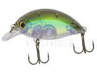 Wobbler Quantum Fat Minnow SR 6.5cm 10g - real shiner BESTEN KUNSTKODER Angelshop