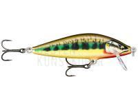 Wobbler Rapala CountDown Elite 5.5cm 5g - Gilded Vairon (GDVR) BESTEN KUNSTKODER Angelshop