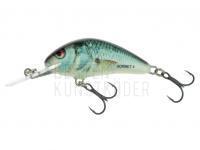 Salmo Hornet H4S - Real Dace BESTEN KUNSTKODER Angelshop