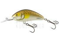 Salmo Hornet H9F - Smelt Ayu BESTEN KUNSTKODER Angelshop