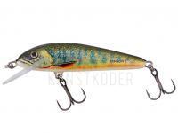 Wobbler Salmo Minnow Floating 5 | 5cm 3g | 2" 1/16oz - Lake Charr BESTEN KUNSTKODER Angelshop