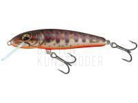Wobbler Salmo Minnow Floating 7 | 7cm 6g | 2 3/4" 3/16oz - Fresh Water Minnow BESTEN KUNSTKODER Angelshop