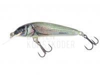 Wobbler Salmo Minnow M7F - Holo Bleak BESTEN KUNSTKODER Angelshop