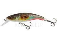 Wobbler Salmo Slick Stick 6cm - Supernatural Gobie BESTEN KUNSTKODER Angelshop