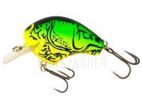 Wobbler Crankbait Shimano Bantam Macbeth 50 F | 50mm 12g - 008 Chart Claw BESTEN KUNSTKODER Angelshop