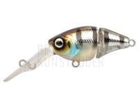 Wobbler Spro IKIRU Double Crank 35F | 3.5 cm 3.4 g - Buzzer BESTEN KUNSTKODER Angelshop