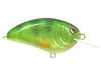 Wobbler Spro Little John MD 50 5cm 14g - Real Perch BESTEN KUNSTKODER Angelshop