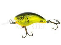 Wobbler Vidra Lures Bombhead | 4.50 cm 12 g - FYB BESTEN KUNSTKODER Angelshop