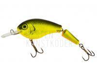 Wobbler Vidra Lures Nautilus DR Jointed | 8.50 cm 11 g F - FYB BESTEN KUNSTKODER Angelshop