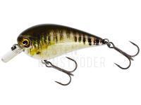 Wobbler Westin BassBite Squarebill BassBite 1.5 | 6cm 13g - Real Minnow BESTEN KUNSTKODER Angelshop