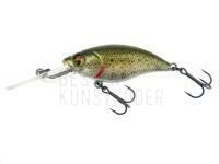 Wobbler Westin BuzzBite Crankbait 6cm 10g Suspending - Lake Roach BESTEN KUNSTKODER Angelshop