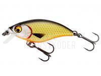 Wobbler Westin BuzzBite SR Crankbait 4cm 4g Low Floating - Official Roach BESTEN KUNSTKODER Angelshop