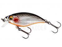 Wobbler Westin BuzzBite SR Crankbait 4cm 4g Low Floating - Steel Sardine BESTEN KUNSTKODER Angelshop