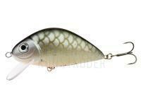 Wobbler Wob-Art Karaś (Karausche) 9cm 30g F - 62 BESTEN KUNSTKODER Angelshop