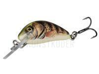 Salmo Hornet 2,5 cm