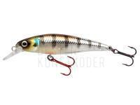 SPRO IKIRU Silent Jerk SLS 65 and 95