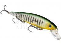 Strike King Wobbler KVD 300 Jerkbait