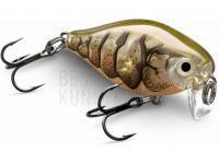 Rapala X-Light Crank Shallow Runner BESTEN KUNSTKODER Angelshop