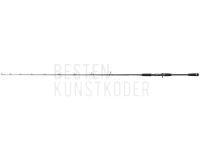 Baitcastrute Dragon X-Treme HD Casting 300C 1.98m 100-300g BESTEN KUNSTKODER Angelshop