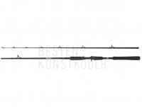 Rute Abu Garcia Beast Pike Jerkbait Casting 1.98m 40-90g