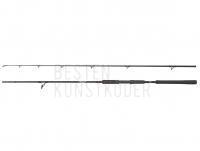 Rute Abu Garcia Beast Pike Spinning 2.44m 40-90g