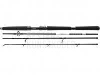 Rute Daiwa BG Offshore Travel 2.40m 40-125g