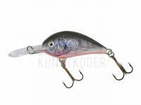 Wobbler Dorado Blagier 3,5F CK