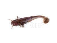 Gummifische Fishup Catfish 50mm - 050 Green Pumpkin Brown/Red & Purple