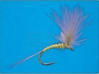 CDC Emerger Gold Olive no.18
