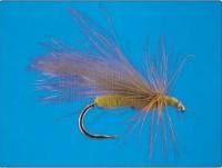 CDC Tan Caddis no.12